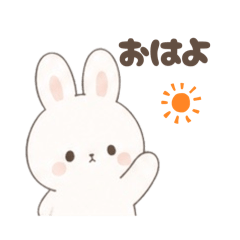 coco_20260507124519