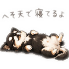 NVboy_20260507125225