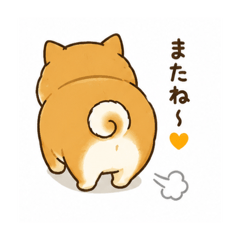 Plump dog_20260507135459