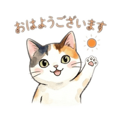 Chiriri_20260507150757