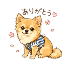 okaka_20260507150243