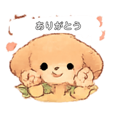 teru_20260507145215