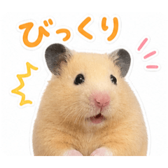nagisa_20260507150419
