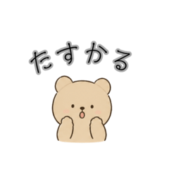 Ami_20260507155621