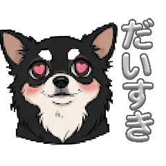 WATARU_20260507153938