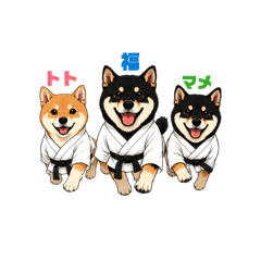 sunshiba_part2