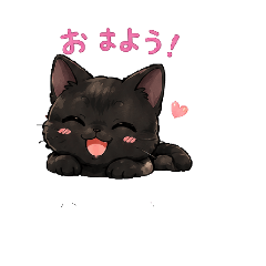 Tama_20260508161639