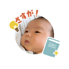 ritsukonia_20260508161127