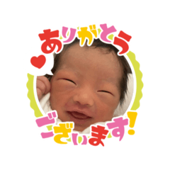 koki_20260508161709