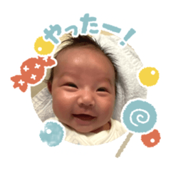 shima_20260508162225