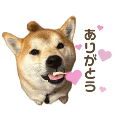 kaaaaa_20260508162245