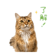 Taka_20260508162418