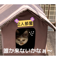 Yukie_20260508203344