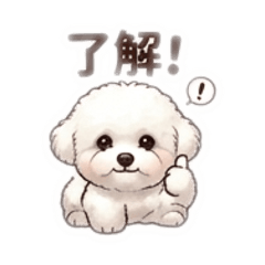 Masao_20260508202442