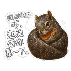 Squirrel Godzilla