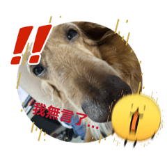 小基啾