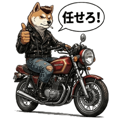 Speeding! The Boss of Shiba