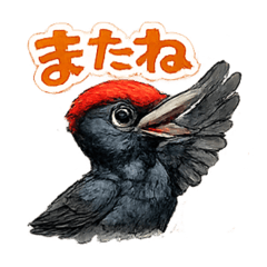 CHAO_20260507163409