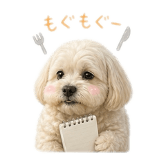 mei_17ans_20260507175150