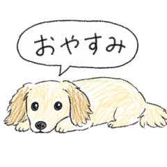 kurumame_20260507180419