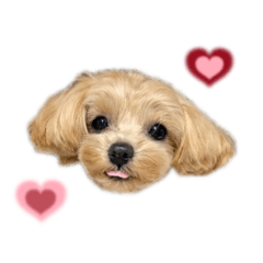 Hiii_20260507175225