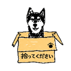 HACHIBEE_20260507185937