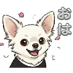 WATARU_20260507192942