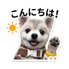 ukachan_20260507192619