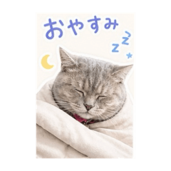 natsumi_20260507194016