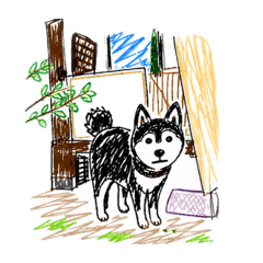 HACHIBEE_20260507194647