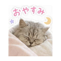 natsumi_20260507195423