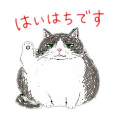 HACHIBEE_20260507201943