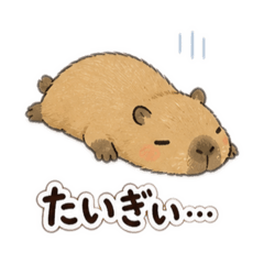 sami_20260507203259