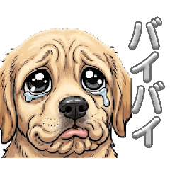 WATARU_20260507205438