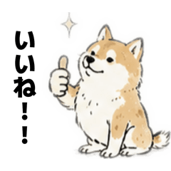 TKY_20260507210507