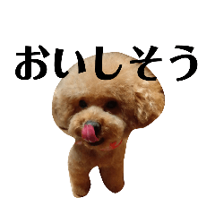 tadoppi_20260507211630
