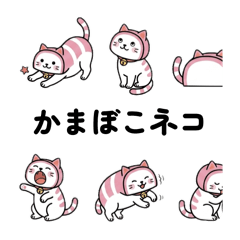 naanyan_20260507212740