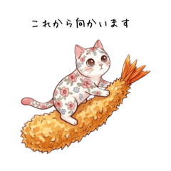 moimoi_20260507210354
