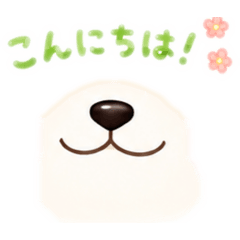 KAZsan_20260507212424