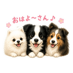 corochan_20260507213955