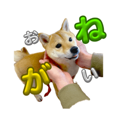 Our Tenko debuted as a stamp!