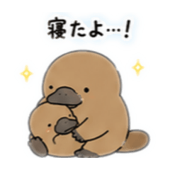 Cute Platypus Family Stickers