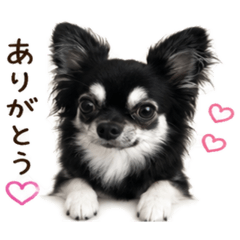 nana_20260507220241