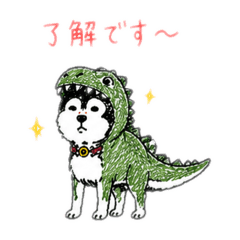 HACHIBEE_20260507222700