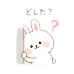 Squishy Cheek Bunny5