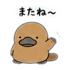 Lazy Platypus Daily Stickers