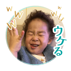 poko_20260508120638