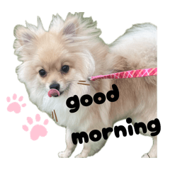 reina_20260508121550