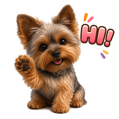 Salsa the Yorkie V.11