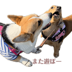 Tsuna_20260508164527